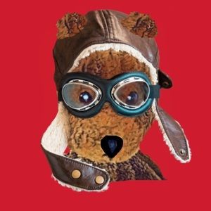 Meet your Posher, Benjamin